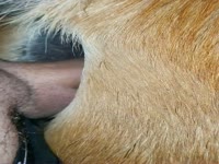 Hot anal with my Mare